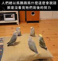 https://images.plurk.com/FLdNhsglCsK9RdIDFEVnr.jpg