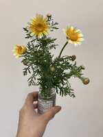 https://images.plurk.com/FPDry5PcZDhHP2115XoFB.jpg