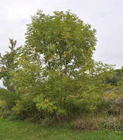 https://images.plurk.com/FTlpRZt1q9341lj3AXh81.jpg