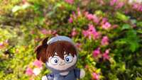 https://images.plurk.com/FWRuZlh8u33KFy3ZR4ldS.jpg