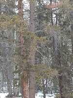 https://images.plurk.com/FWnQlK1cQtYBnHOKfN5eT.jpg