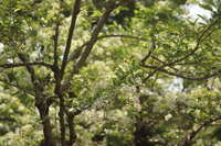 https://images.plurk.com/Fa3qzTDK2NunHSEKnW8jy.jpg