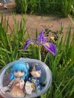https://images.plurk.com/Fi5fTzqpxqEiF9LSCjnec.jpg