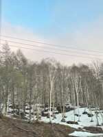 https://images.plurk.com/FtSBjkaUvyPrsL9Qfc2Gv.jpg