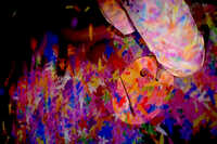 https://images.plurk.com/G1TDHxgL96xoWomKzMCnO.jpg