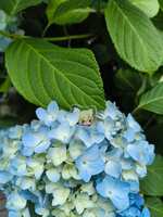https://images.plurk.com/G4XlWYVjghuATpIVcXhyf.jpg
