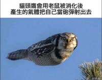 https://images.plurk.com/G7Guhvk3xAmqa5x8SNq1U.jpg