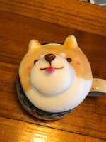 https://images.plurk.com/G9fZadTsWvloBE1fSdgHN.jpg