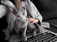 https://images.plurk.com/GBWYy7HuDz9r57Hy6hEL5.jpg