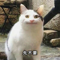 https://images.plurk.com/GQZ8YxqzXAKollIKwhxhD.jpg