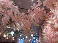 https://images.plurk.com/GWVji61q4tA3JXd4u7wA4.jpg