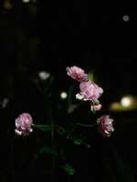 https://images.plurk.com/GYlXZSzWqBhYV1kdPZp78.jpg
