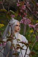 https://images.plurk.com/GeBwBiuzkIqAOMOLQAYv3.jpg