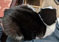 https://images.plurk.com/GiCk1Wn32843PX6rGzzOU.jpg