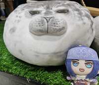 https://images.plurk.com/GlOj1NdPZ7GE8QTwpG2oL.jpg
