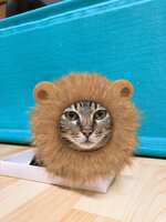https://images.plurk.com/Gt9URS4ZF1rDO8Cy4zS01.jpg