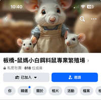 https://images.plurk.com/GzzDgfkIoyiUMNvEZBwCm.jpg
