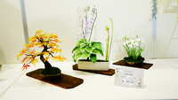 https://images.plurk.com/H1rc0L2EQ4OClDE58oaWN.jpg