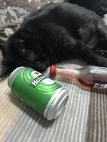 https://images.plurk.com/H2INuVx1e3m8N7VjGdidS.jpg