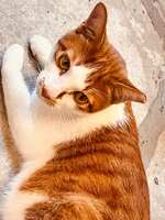 https://images.plurk.com/HFShSwlvGriVIYafqMHr3.jpg