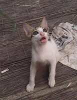 https://images.plurk.com/HJrbUp6ehv2a6RNhDoXYS.jpg