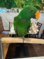https://images.plurk.com/HUCZz4aQSQKnUP2T6FjoY.jpg