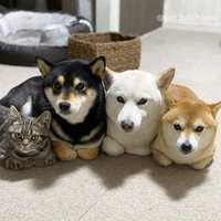 https://images.plurk.com/HXU08oAx2ncJk929pCBow.jpg
