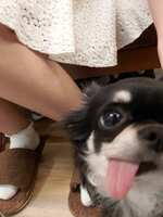 https://images.plurk.com/HXd7EIwYE91FnysYOpeav.jpg