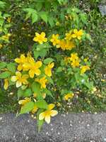 https://images.plurk.com/HcJ9FeliAeb809pOc4yTB.jpg