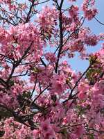 https://images.plurk.com/HcwV3jt7R4RRNh8OXBRdx.jpg