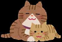 https://images.plurk.com/I3GTaIFZvJkhwFuX9egkk.png