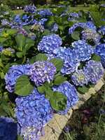 https://images.plurk.com/I5iAh9rk81ahxKfHV9aYI.jpg
