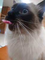 https://images.plurk.com/I8iThy7PF8vBJHjX1XgCy.jpg