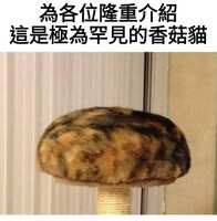 https://images.plurk.com/IC1yC4IzOmxOczvUG7Xfz.jpg