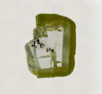 https://images.plurk.com/IG2ga69Q9ol8cGI3wDogV.png