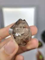 https://images.plurk.com/IKNiAEkjaOEAK52KBFU5f.jpg