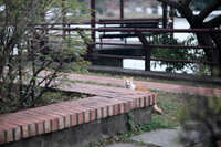https://images.plurk.com/IOanzmwkSuQSsPgOGZazH.jpg