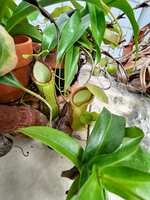 https://images.plurk.com/IPPSqXulxsTCrbcDAWlMH.jpg