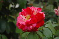 https://images.plurk.com/IT51N2erI6ODr0TMjyHNm.jpg