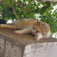 https://images.plurk.com/IbQgJo0zn9asobnIMPapn.jpg