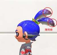 https://images.plurk.com/ImzGbiPFLWFJGaoZ4Dljb.jpg