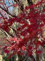 https://images.plurk.com/IohdHvLCOYBSLS0nYp7b6.jpg