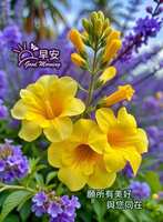 https://images.plurk.com/IpR1qhFxsqrib6LR2VZM9.jpg
