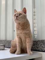 https://images.plurk.com/J5jiDd9FAHSnMyhgh4gAx.jpg
