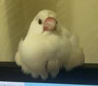 https://images.plurk.com/J8gD2buSKAYmzml1G7oUf.png
