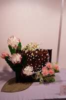 https://images.plurk.com/JDyaL9810OoWKKbQedb1I.jpg