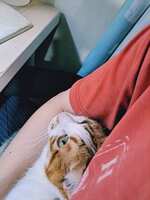 https://images.plurk.com/JEBfwreULoK2P58jsc0qk.jpg