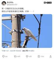 https://images.plurk.com/JEyUh2IAPIEcdkQL5n0tT.jpg