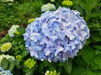 https://images.plurk.com/JTlaV6jpIoTIql2B77hq2.jpg