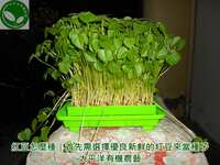https://images.plurk.com/JWzauhDvgIdHJKX9457Mg.jpg